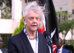 The US Ambassador to Kenya Meg Whitman.